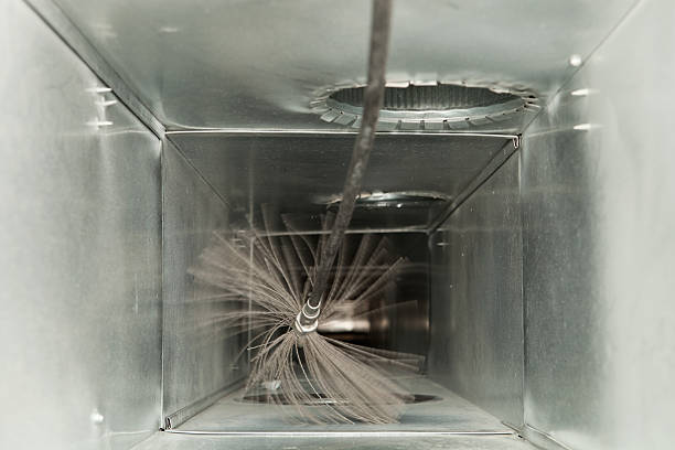 Air Duct Mold Removal in West Perrine, FL